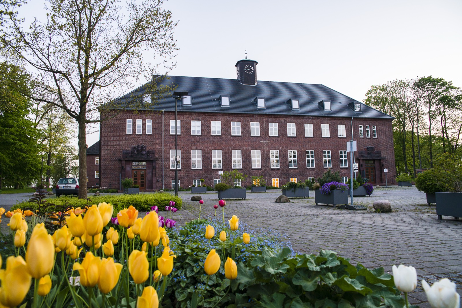 Akademie Dampsoft in Eckernförde